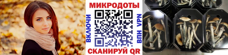 Галлюциногенные грибы мухоморы  как найти закладки  Октябрьск 